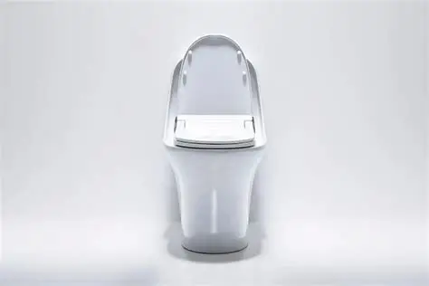 تصویر 3 از توالت فرنگی پایه دار یک تکه با مزایای بهداشتی ریم لس